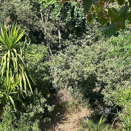 Appartamento Très Rare! Bel 38 M2 Domaine Prive Vallauris